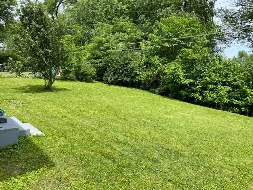 Reliable landscape design for residential properties in East St Louis, IL by KleanKs Lawn Monsters