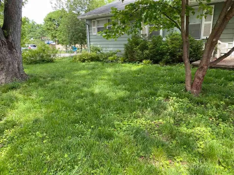 Trusted outdoor landscaping near you in East St Louis, IL by KleanKs Lawn Monsters