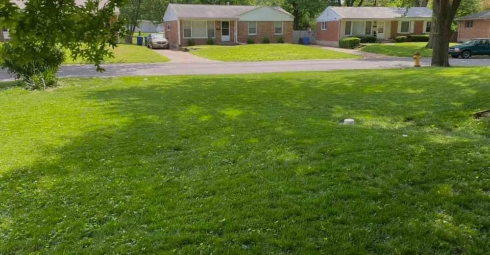 Professional outdoor landscaping in East St Louis, IL by KleanKs Lawn Monsters