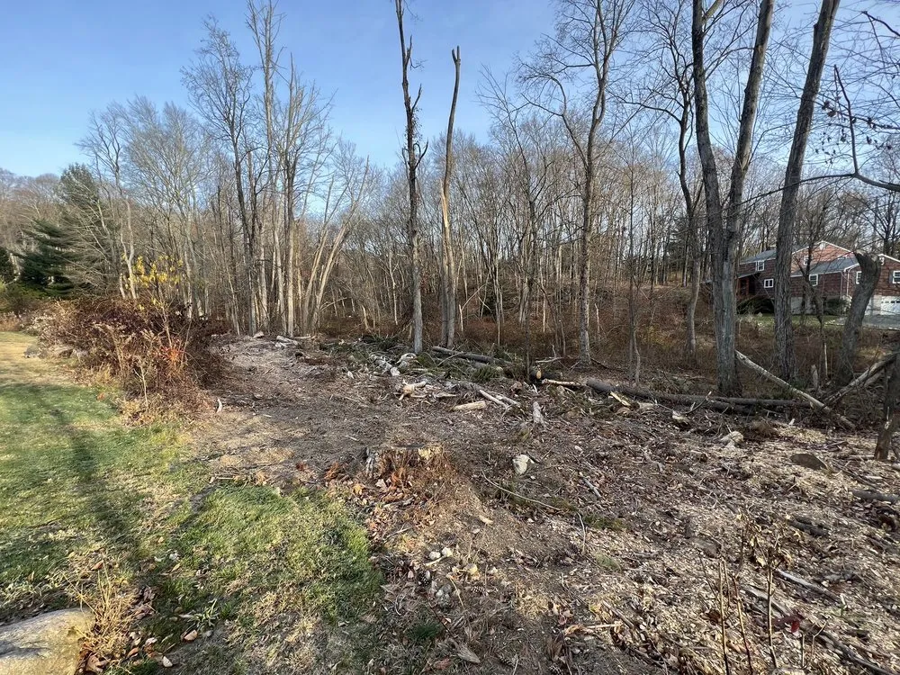 Reliable yard maintenance in Danbury, CT by Kleber C Landscaping & Tree Services