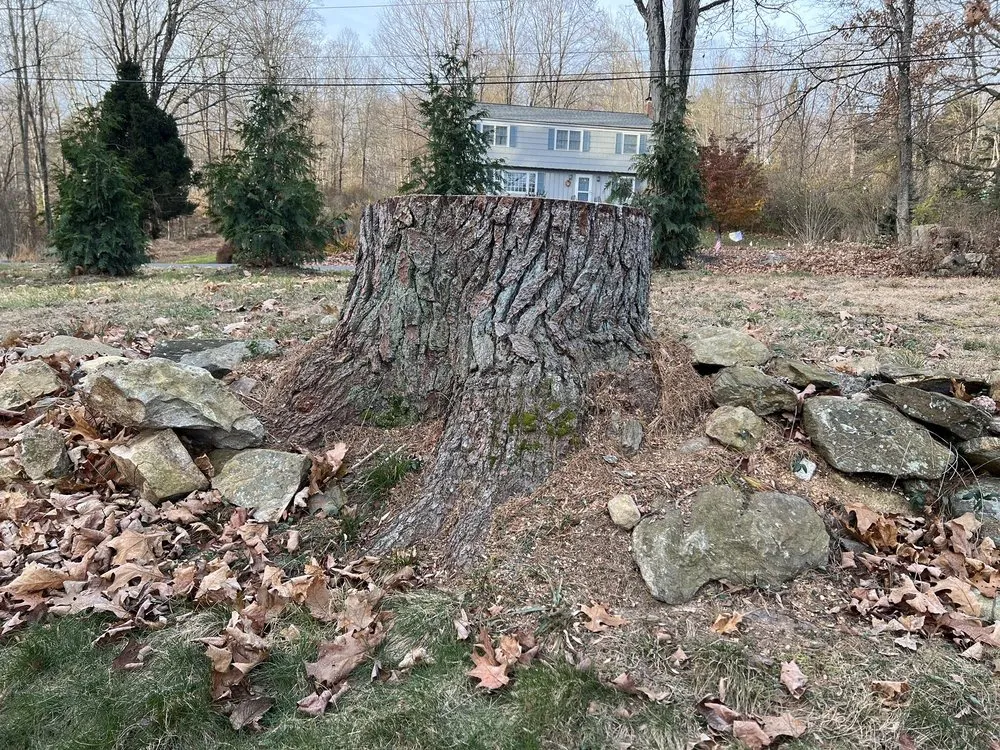 Affordable outdoor landscaping in Danbury, CT by Kleber C Landscaping & Tree Services