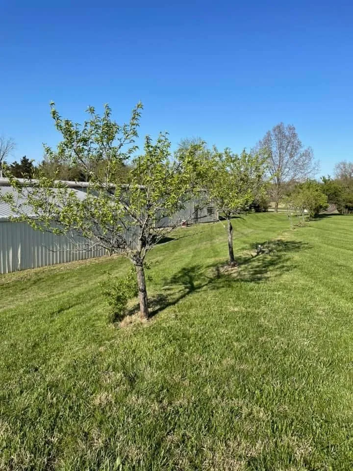 Expert lawn care service for beautiful yards in Gerald, MO by Kleekamp Lawn Mowing