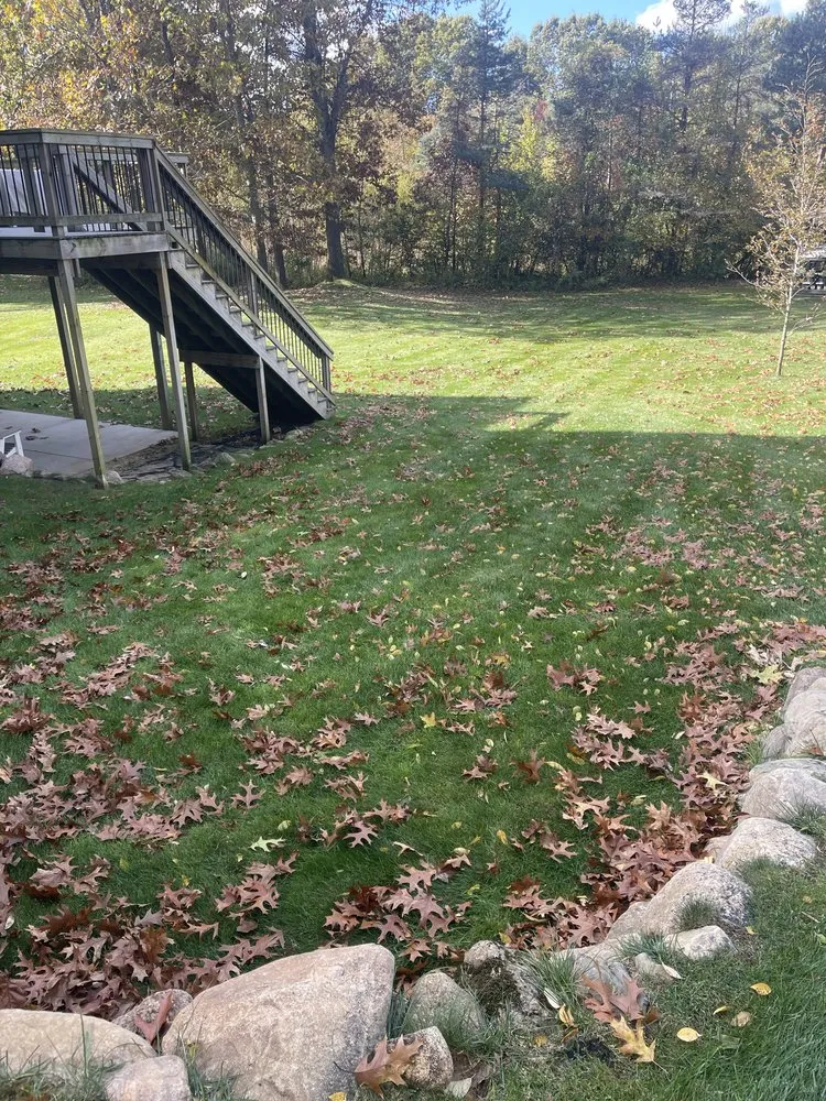 Affordable landscape design for homes across Albion, MI - Kleen Greens