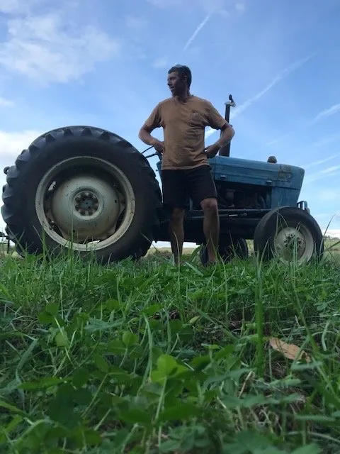 Top-rated yard maintenance experts serving Colfax, NC - Kleen Kut Landscaping