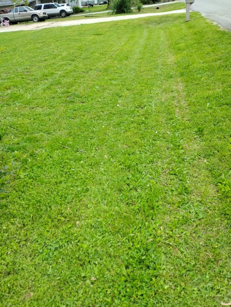 Reliable lawn care service in Sparta, MO by Kleen Kut Lawn Care