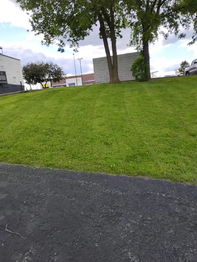 Reliable residential landscaping experts serving Sparta, MO - Kleen Kut Lawn Care