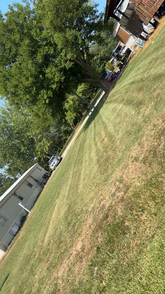 Trusted residential landscaping for homes in Sparta, MO by Kleen Kut Lawn Care