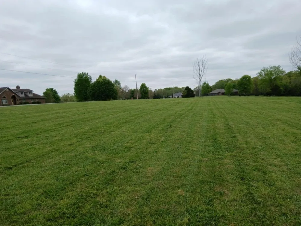 Local outdoor landscaping in Sparta, MO by Kleen Kut Lawn Care