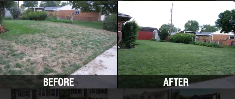 Trusted yard maintenance near you in Orange Park, FL by Kleen kutz