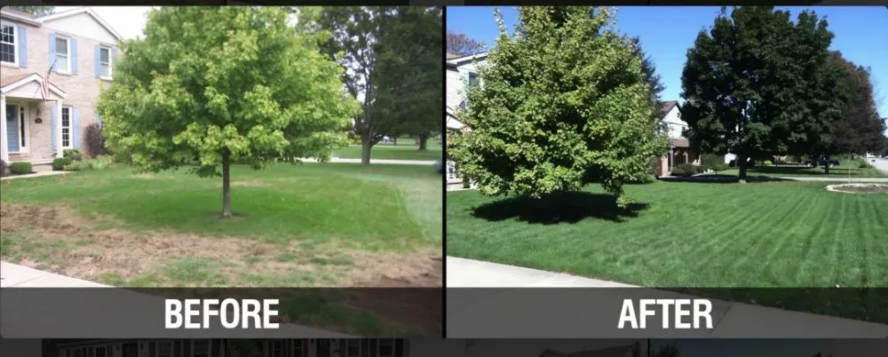 Affordable lawn care service in Orange Park, FL - Kleen kutz