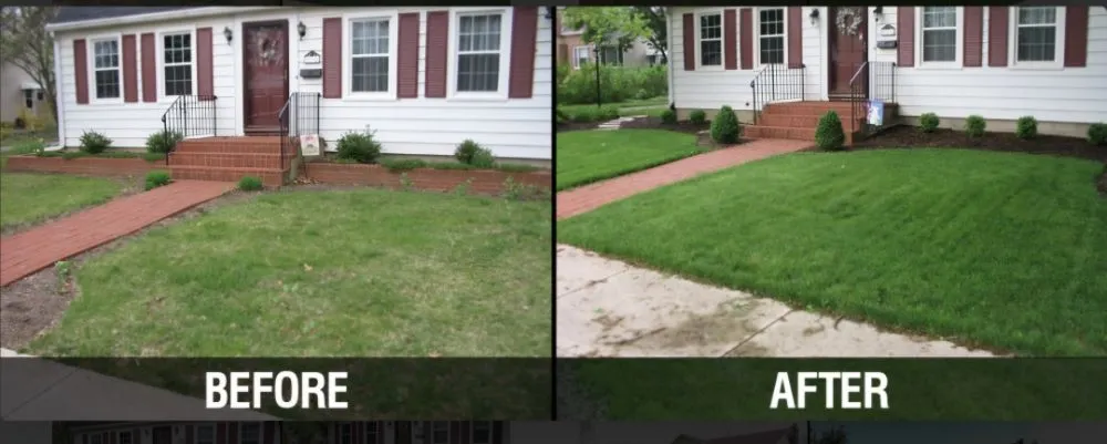 Affordable landscaping services for year-round maintenance in Orange Park, FL by Kleen kutz