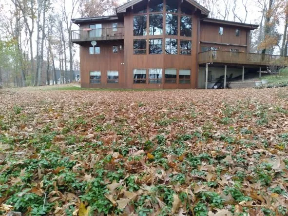 Top-rated landscaping services for year-round maintenance in Hillsdale, MI by Kleencut Lawn Care