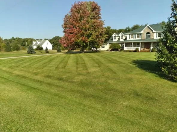 Affordable lawn care service for residential properties in Hillsdale, MI by Kleencut Lawn Care