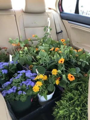 Klenzing's Landscaping