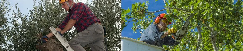 Top-rated outdoor landscaping in Machesney Park, IL - Kline Landscaping