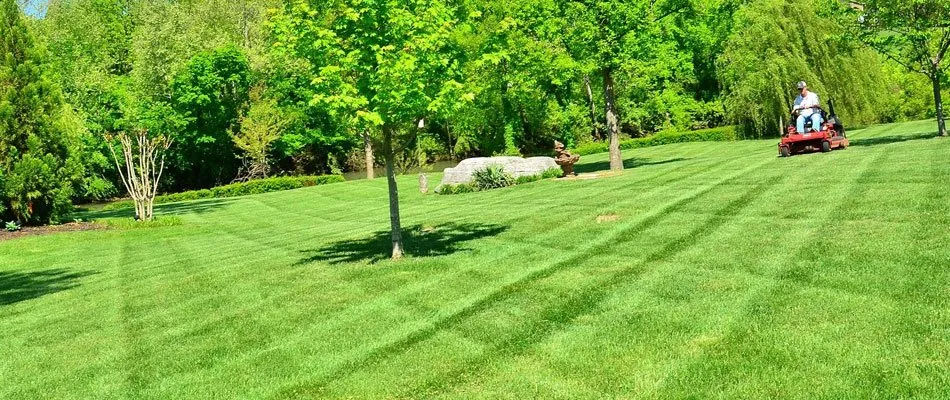 Custom lawn care service in Breckenridge, TX - Klines General Contracting