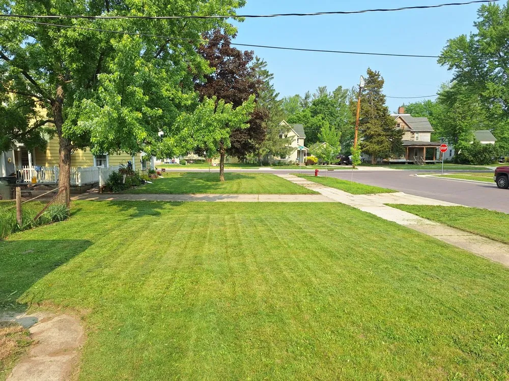 Affordable landscape design in Reedsburg, WI - Klingaman & Mcgowan Weed Trimming