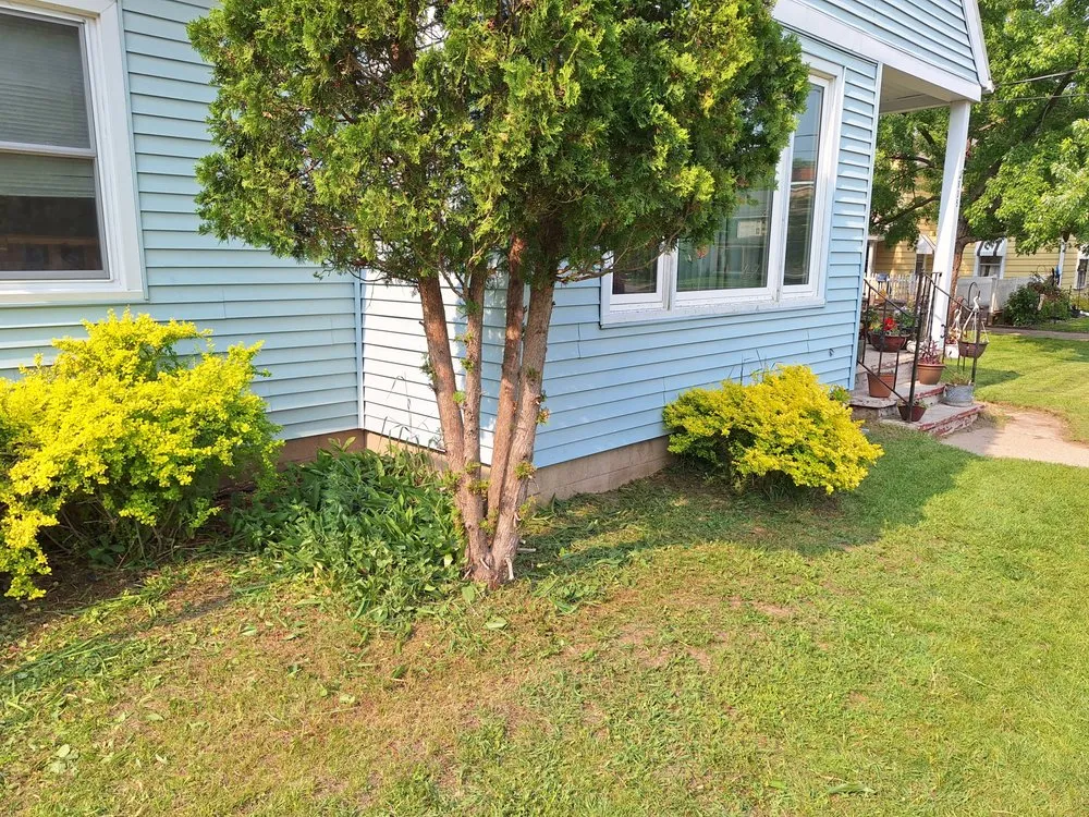 Top-rated landscape design for beautiful yards across Reedsburg, WI - Klingaman & Mcgowan Weed Trimming