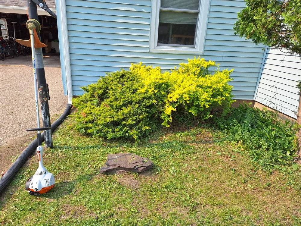 Local lawn mowing service experts serving Reedsburg, WI - Klingaman & Mcgowan Weed Trimming