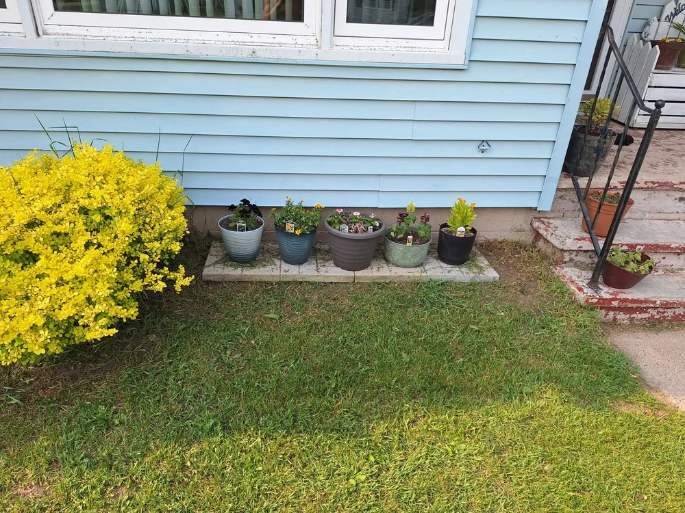 Expert yard maintenance in Reedsburg, WI - Klingaman & Mcgowan Weed Trimming