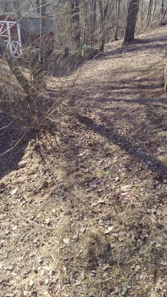 Affordable yard cleanup service in Lehighton, PA by Klingle's Lawn Care and Snow Removal