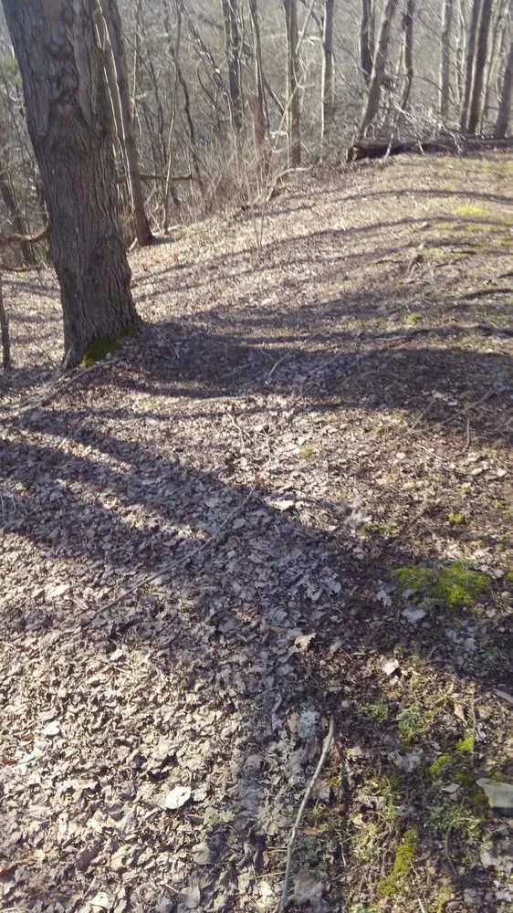 Affordable lawn care service in Lehighton, PA by Klingle's Lawn Care and Snow Removal