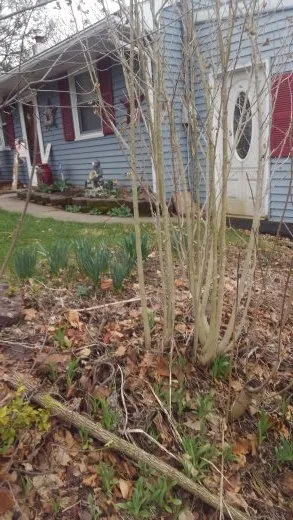 Expert landscape installation with custom design in Lehighton, PA by Klingle's Lawn Care and Snow Removal