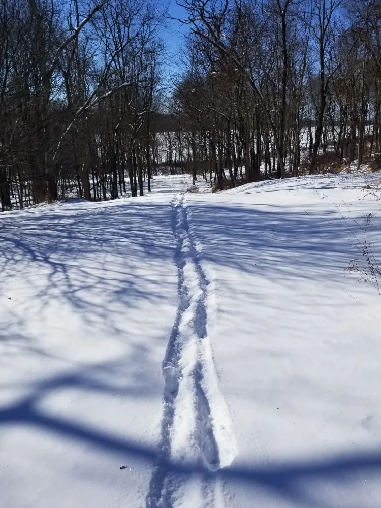 Top-rated yard maintenance for year-round maintenance in Lehighton, PA by Klingle's Lawn Care and Snow Removal