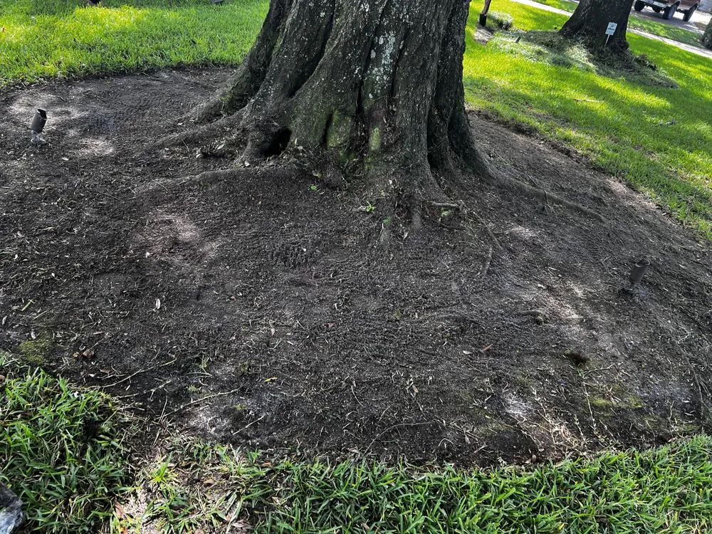 Top-rated landscape design for homes across Saint Augustine, FL - Klip’s Services