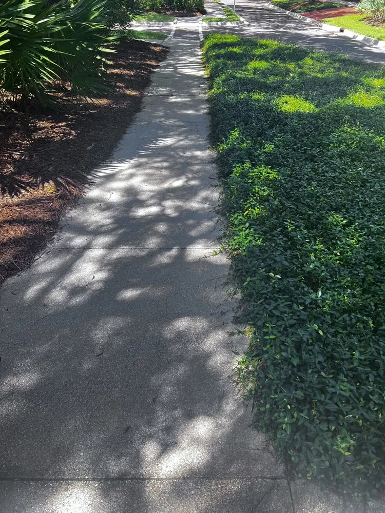 Reliable landscape design in Saint Augustine, FL - Klip’s Services