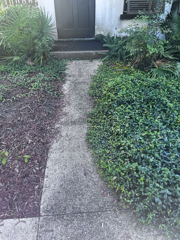 Custom garden landscaping for beautiful yards in Saint Augustine, FL by Klip’s Services