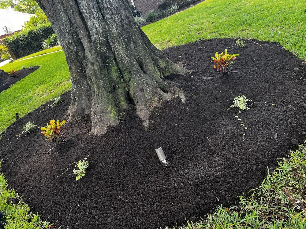 Top-rated lawn care service with custom design in Saint Augustine, FL by Klip’s Services