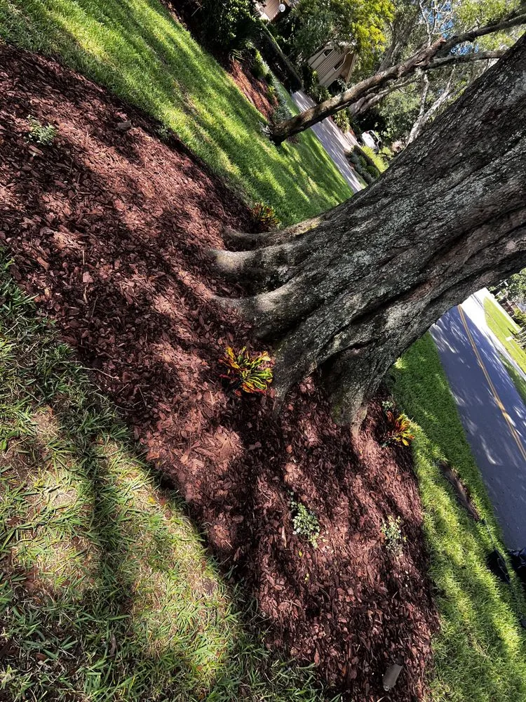 Professional landscape design in Saint Augustine, FL - Klip’s Services