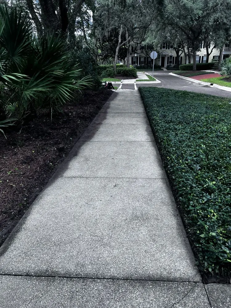 Professional landscape design with custom design in Saint Augustine, FL by Klip’s Services