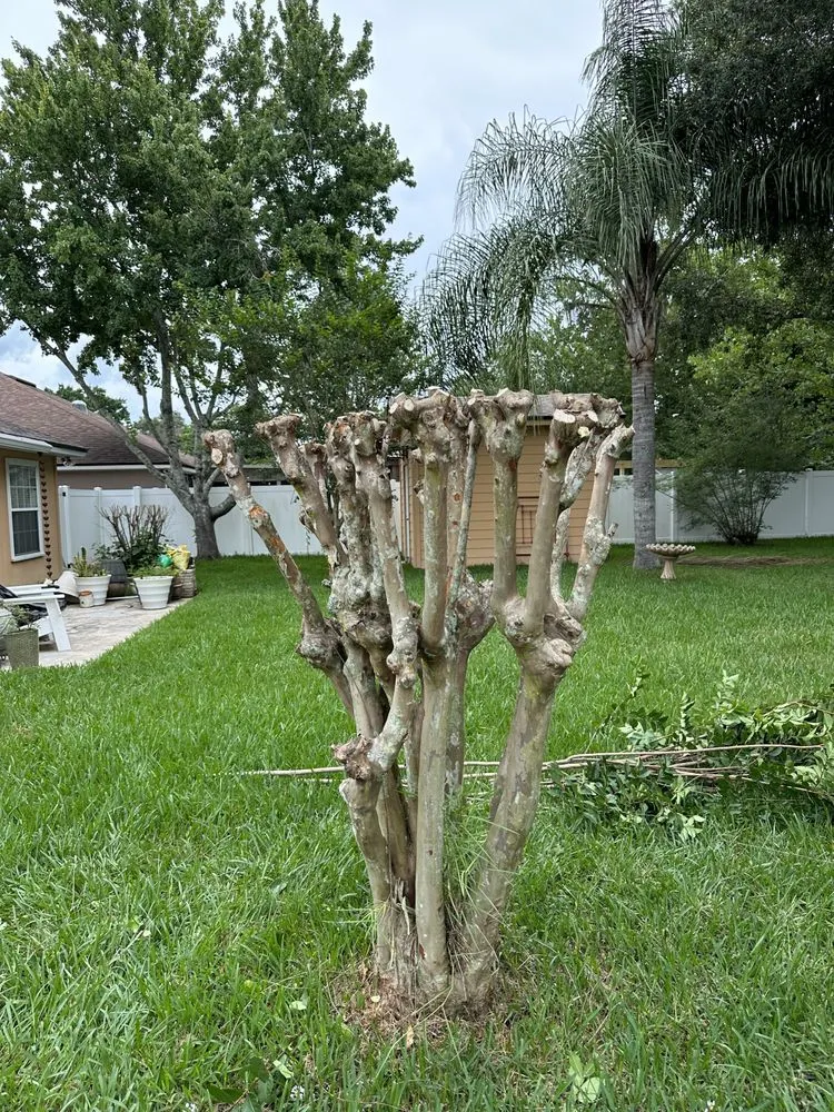 Professional landscaping services experts serving Saint Augustine, FL - Klip’s Services