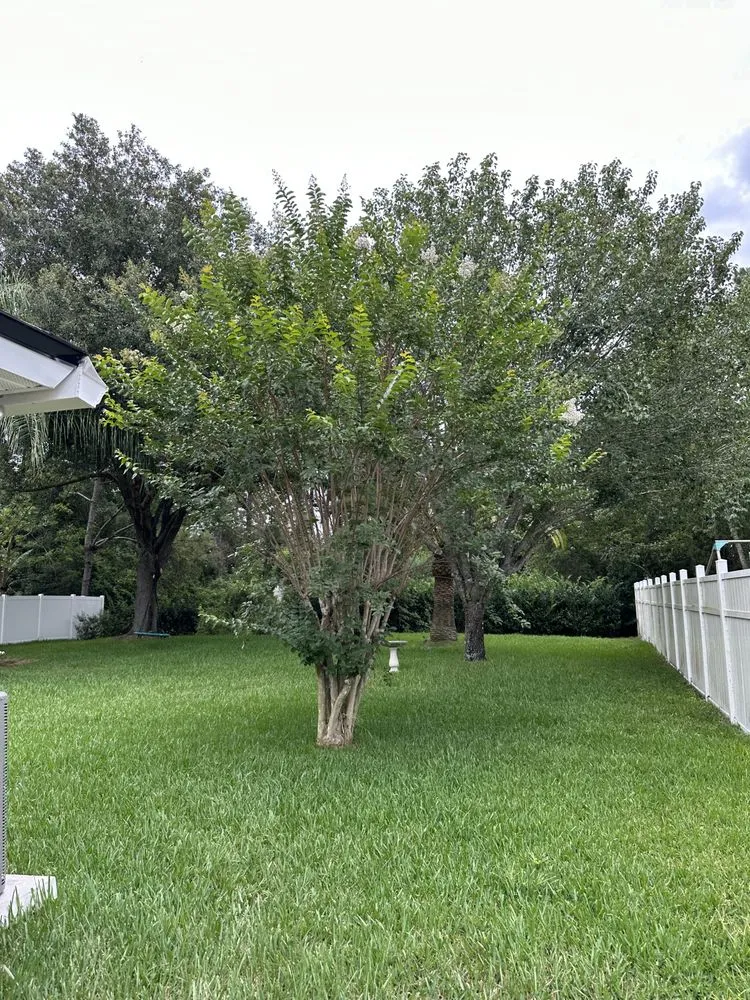 Custom landscape installation in Saint Augustine, FL by Klip’s Services