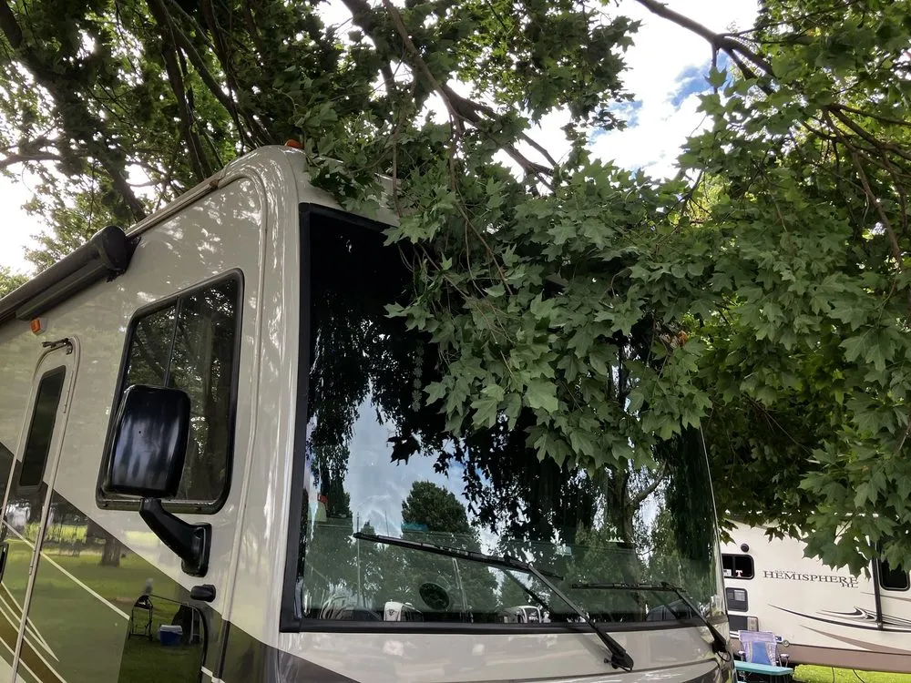 Reliable garden landscaping experts serving Champaign, IL - Klismith Tree Service