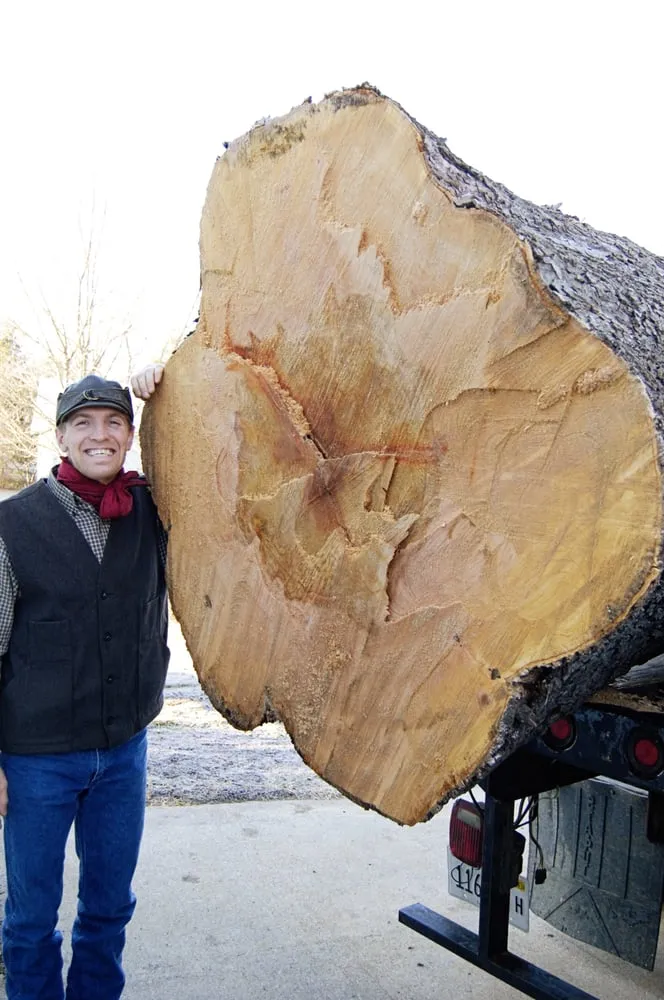 Expert residential landscaping for year-round maintenance across Champaign, IL - Klismith Tree Service