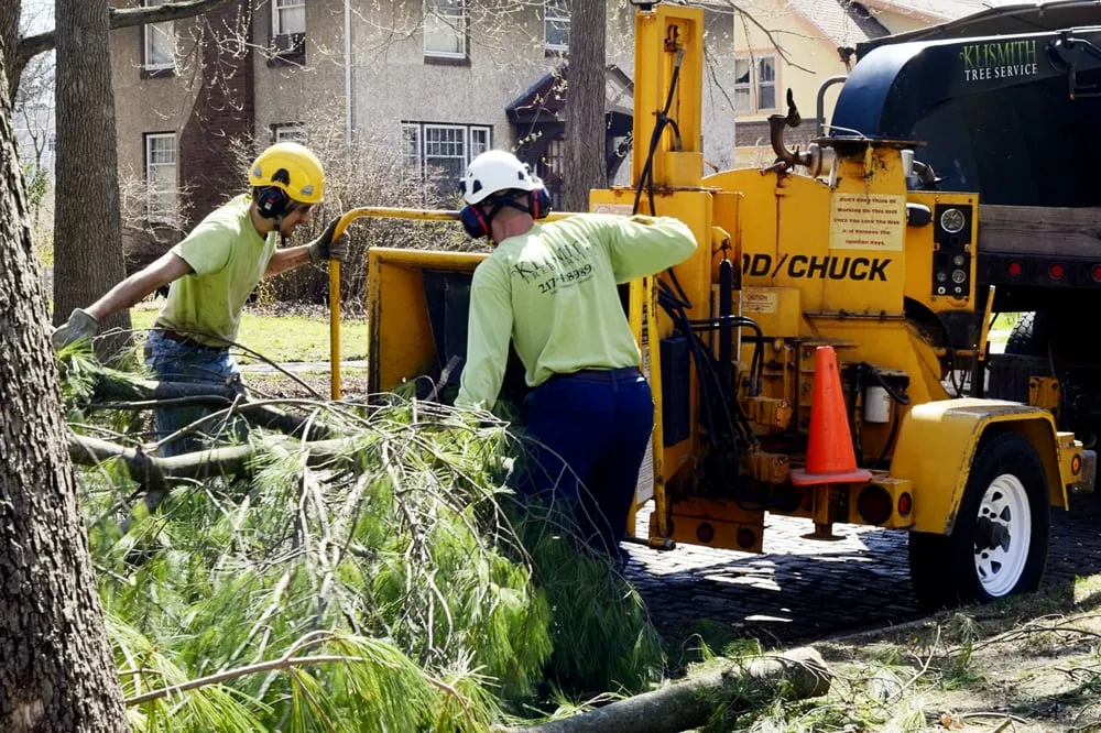 Trusted residential landscaping in Champaign, IL - Klismith Tree Service
