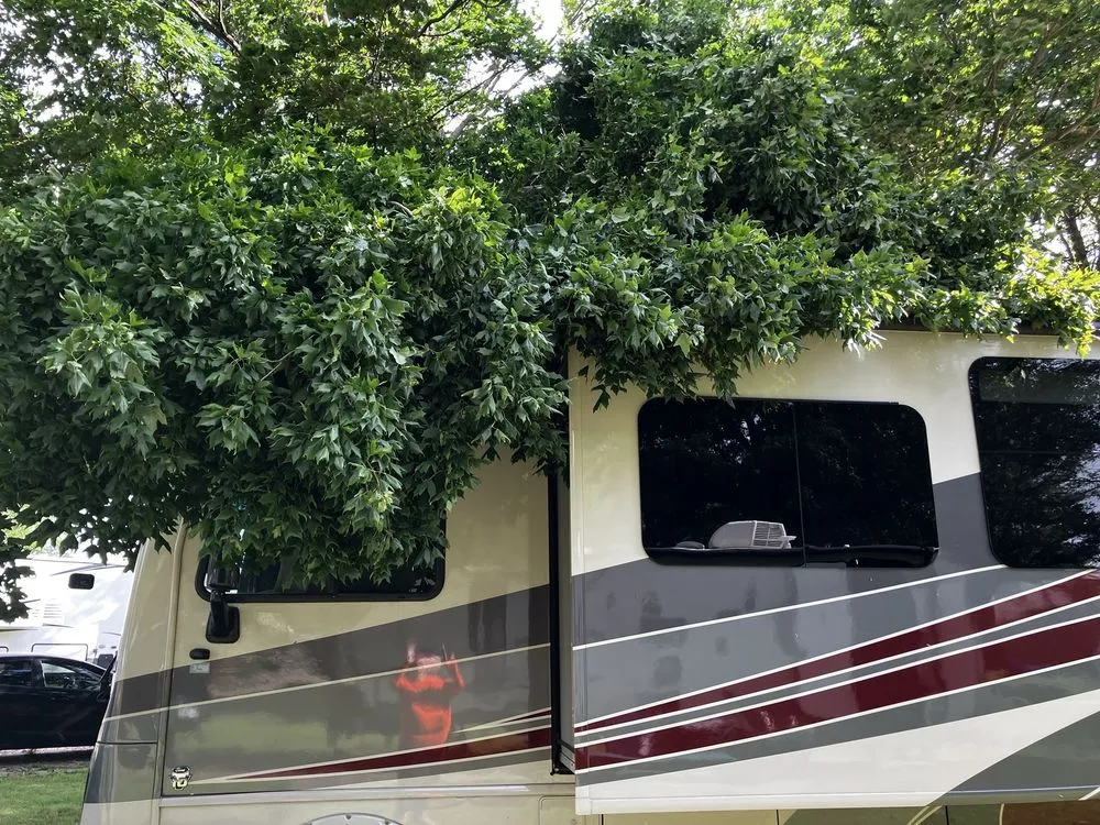 Professional landscaping services with custom design across Champaign, IL - Klismith Tree Service