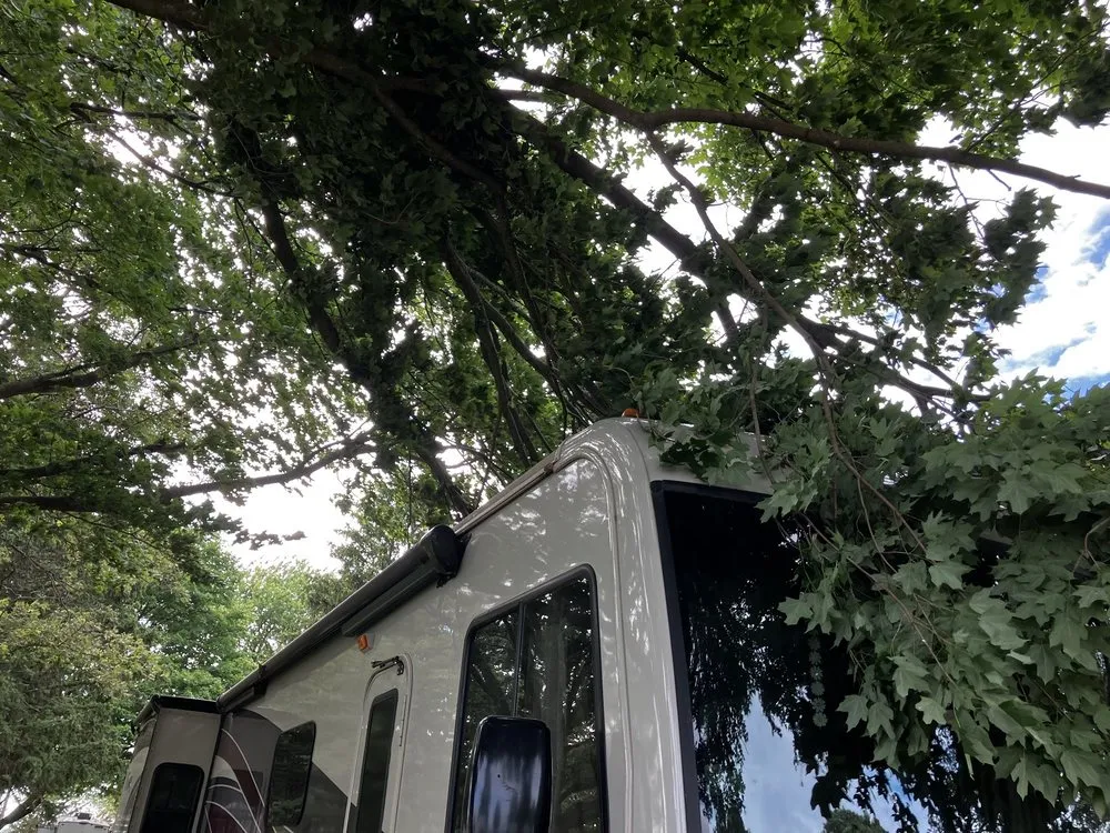 Affordable residential landscaping in Champaign, IL by Klismith Tree Service