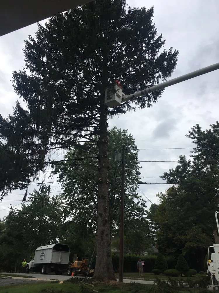 Local landscape design experts serving Piscataway, NJ - K.L.M. Tree Service & Landscaping