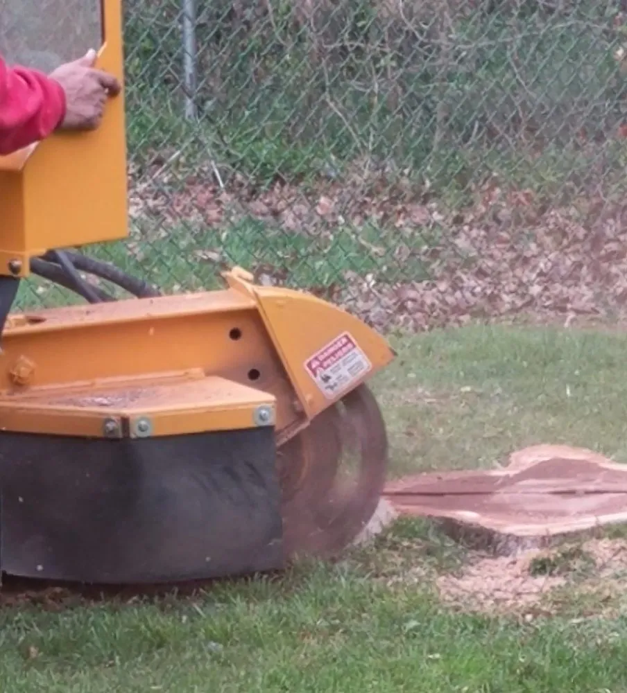 Local landscape design in Piscataway, NJ by K.L.M. Tree Service & Landscaping