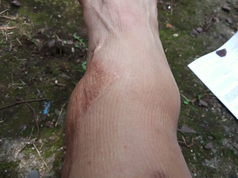 Custom lawn mowing service in Piscataway, NJ by K.L.M. Tree Service & Landscaping