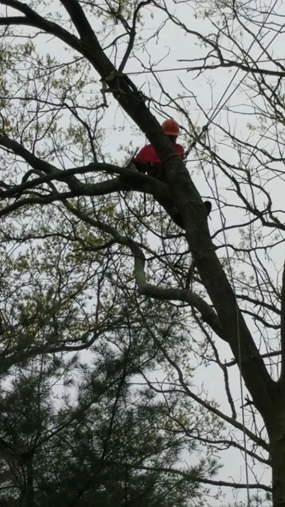 Affordable outdoor landscaping with custom design in Piscataway, NJ by K.L.M. Tree Service & Landscaping