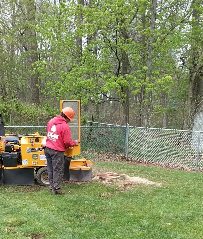 Expert lawn mowing service experts serving Piscataway, NJ - K.L.M. Tree Service & Landscaping