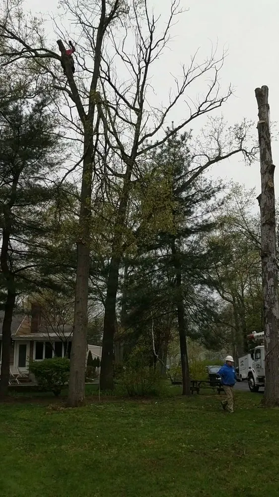 Custom residential landscaping in Piscataway, NJ by K.L.M. Tree Service & Landscaping