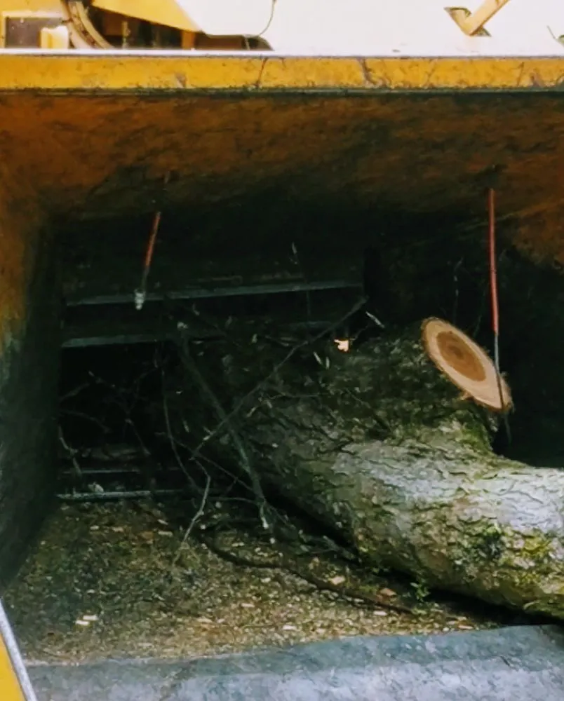 Professional garden landscaping in Piscataway, NJ - K.L.M. Tree Service & Landscaping