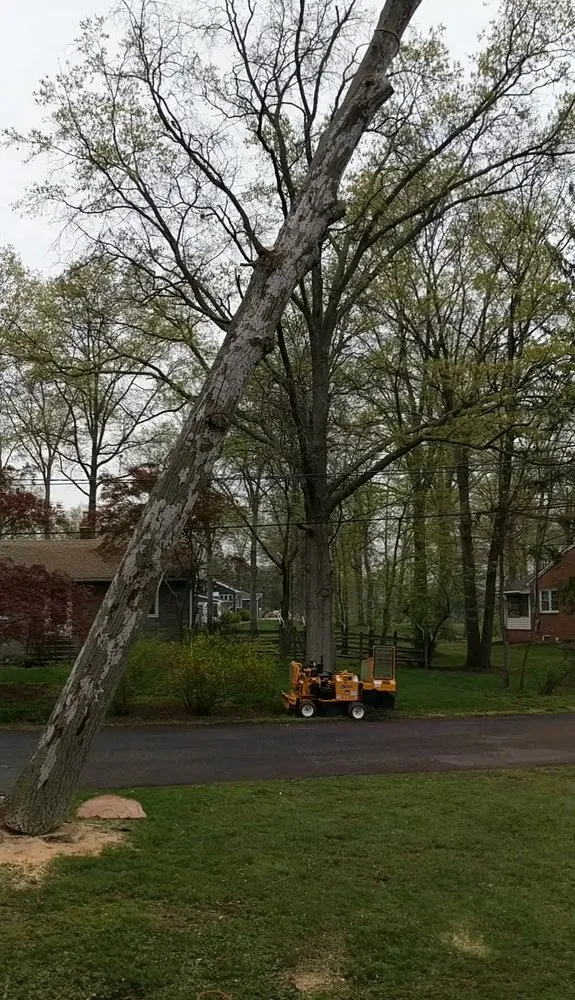 Professional yard maintenance for beautiful yards in Piscataway, NJ by K.L.M. Tree Service & Landscaping