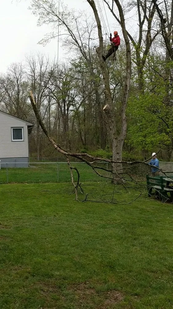 Top-rated landscape installation for homes in Piscataway, NJ by K.L.M. Tree Service & Landscaping